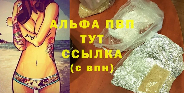 spice Богданович