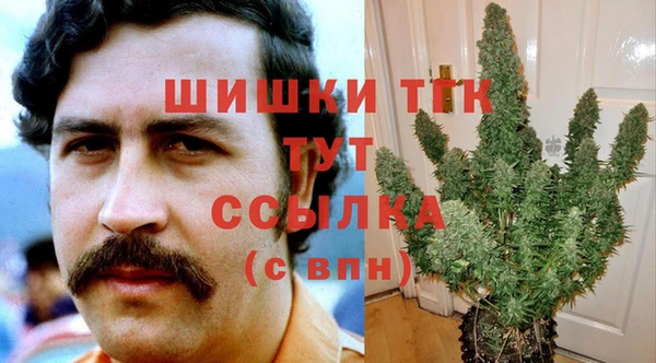 spice Богданович