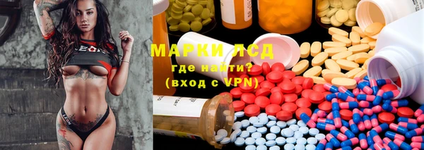 spice Богданович