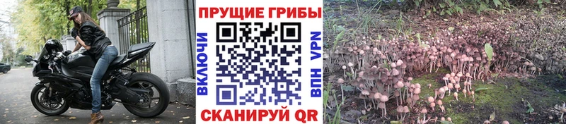 Псилоцибиновые грибы мухоморы  darknet формула  Бугульма 